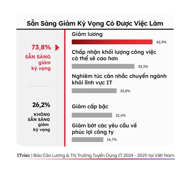 Thị trường tuyển dụng IT nửa đầu năm 2025 bắt đầu tiến vào chu kỳ ngừng phát triển - Ảnh 2.