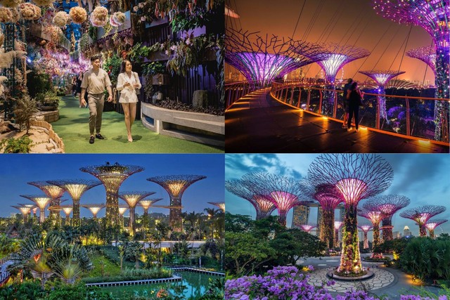 Dạo quanh một Singapore về đ&ecirc;m lung linh kh&oacute; cưỡng- Ảnh 1.