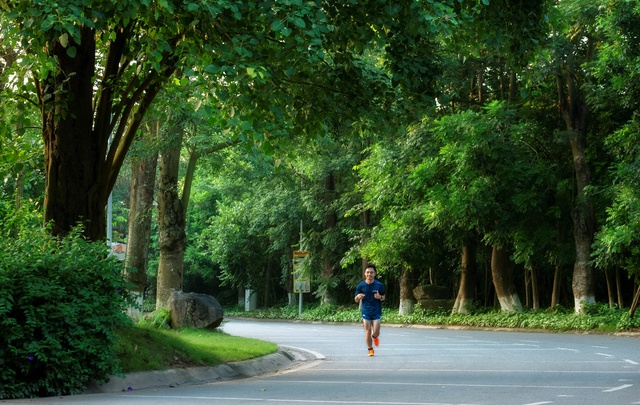 Ecopark và hành trình kiến tạo rừng retreat tiên phong tại Việt Nam - Ảnh 1.