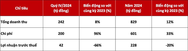 DNSE lên kế hoạch chào bán 85,65 triệu cổ phiếu ra công chúng - Ảnh 3.
