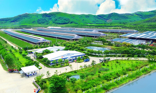 Đổi mới, tự chủ và quyết liệt – điểm chung trong gần 50 năm phát triển của TP.HCM và Vinamilk - Ảnh 1.