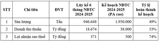 HSG: Lợi nhuận sau thuế uớc lũy kế 07 tháng NĐTC 2024-2025 đạt 460 tỷ đồng- Ảnh 1.