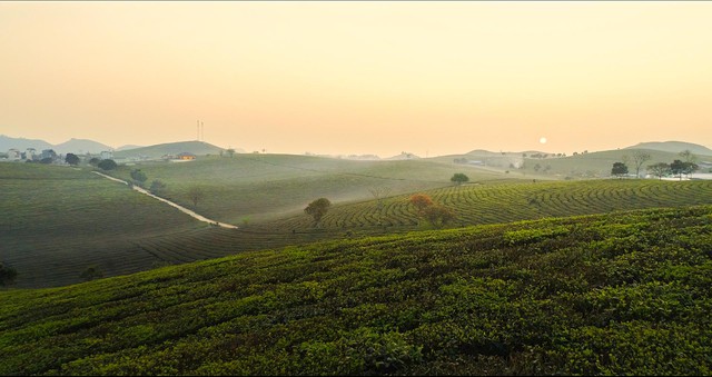Thương hiệu Việt thổi hồn dân tộc vào thiết kế sản phẩm - Ảnh 1.