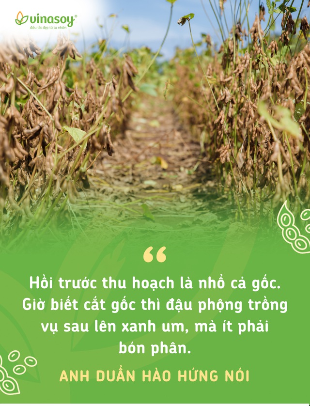 Chuyện người giữ sức khỏe cho đất- Ảnh 4. Chuyện người giữ sức khỏe cho đất- Ảnh 4.