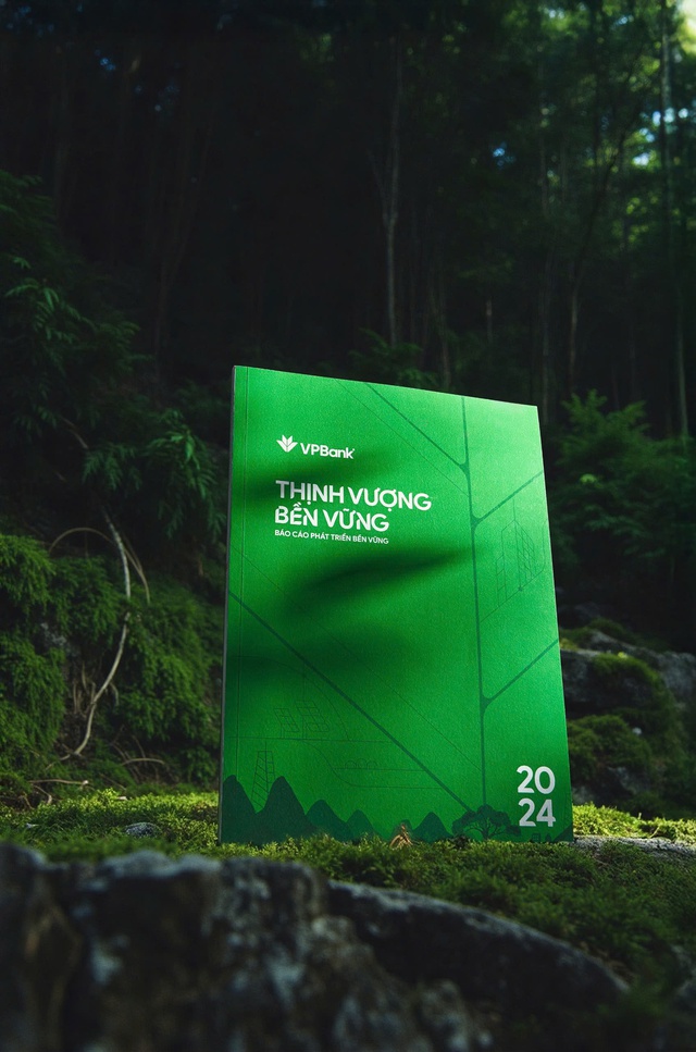VPBank lần đầu công bố Báo cáo Phát triển Bền vững- Ảnh 1. VPBank lần đầu công bố Báo cáo Phát triển Bền vững- Ảnh 1.