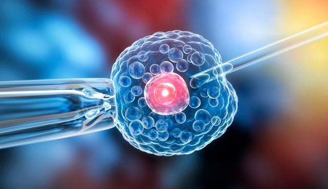 Từ Illumina đến Vitrolife, Từ Veriseq đến EmbryoMap là bước tiến, không phải thay thế- Ảnh 1.