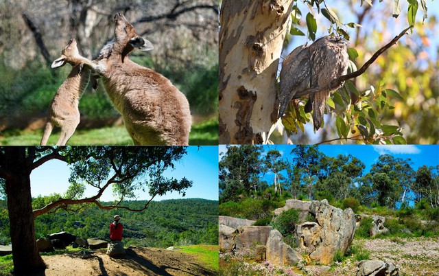 Đến Th&agrave;nh phố &aacute;nh s&aacute;ng Perth ngắm trời sao tr&ecirc;n sa mạc - Ảnh 5.