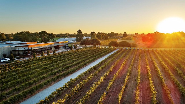 Đến Th&agrave;nh phố &aacute;nh s&aacute;ng Perth ngắm trời sao tr&ecirc;n sa mạc - Ảnh 6.