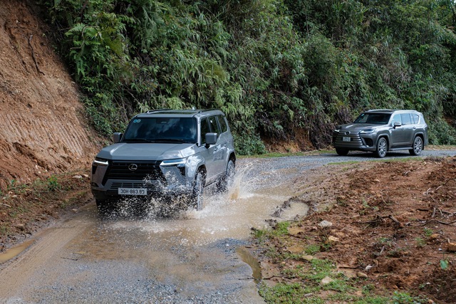 Sense Vietnam by Lexus - đánh thức giác quan của sự sống- Ảnh 4. Sense Vietnam by Lexus - đánh thức giác quan của sự sống- Ảnh 4.