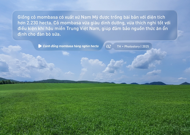 Bức tranh thiên nhiên ngút tầm mắt chỉ có ở nơi sản xuất sữa tươi sạch TH true MILK- Ảnh 2. Bức tranh thiên nhiên ngút tầm mắt chỉ có ở nơi sản xuất sữa tươi sạch TH true MILK- Ảnh 2.