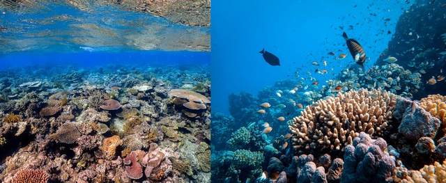 Khám phá thiên nhiên rực rỡ tại 'tiểu bang ánh sáng' Queensland- Ảnh 1.