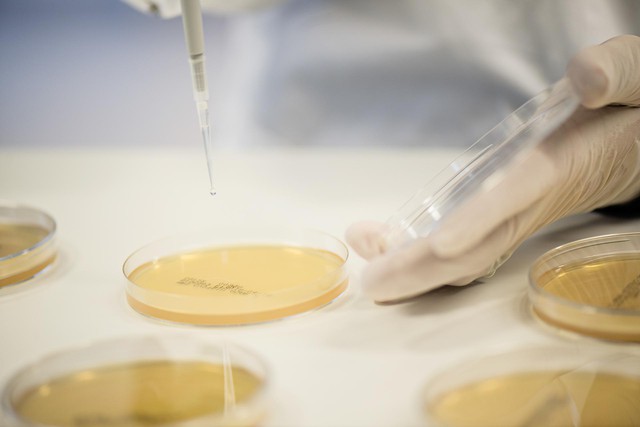 BioGaia - Thương hiệu men vi sinh phân phối tại hơn 100+ quốc gia- Ảnh 1.