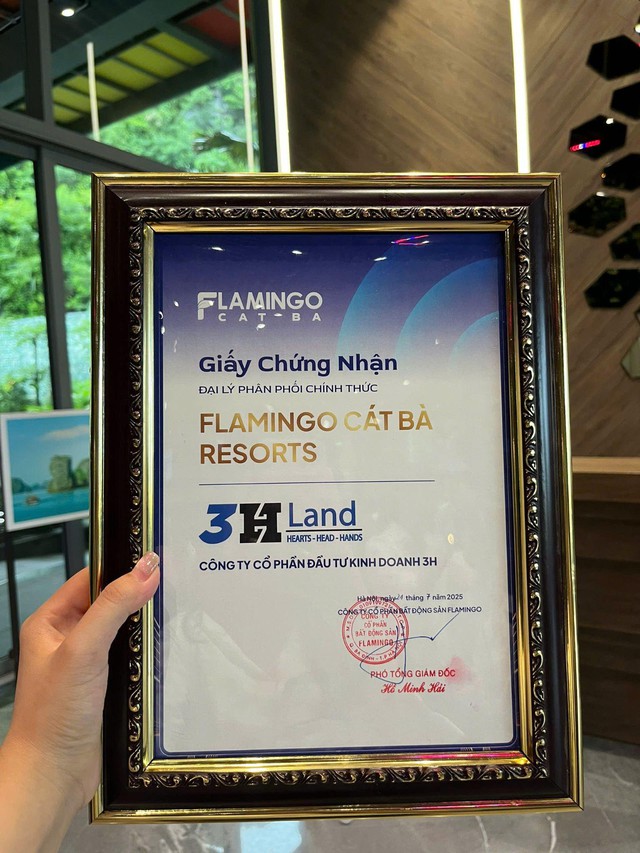 3HLAND trở thành đại lý phân phối chính thức dự án Flamingo Cát Bà Resorts- Ảnh 4.