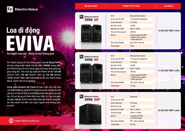 EVIVA – Hành trình đưa âm thanh Việt vươn xa bằng hình ảnh- Ảnh 4.