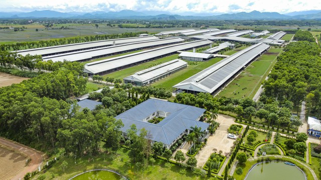 Việt Nam c&oacute; thương hiệu sữa được đ&aacute;nh gi&aacute; tiềm năng nhất to&agrave;n cầu - Ảnh 3.