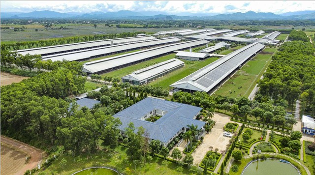 Việt Nam có thương hiệu sữa được đánh giá tiềm năng nhất toàn cầu- Ảnh 3.