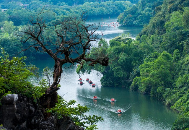 Khơi dậy tình yêu di sản của thế hệ trẻ qua lịch sử sống động- Ảnh 2.