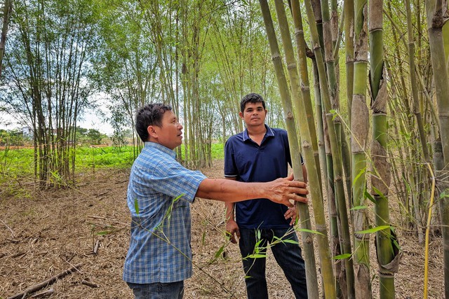 Hành trình nâng tầm vật liệu xanh với thương hiệu Tre Tầm Vông Đàm Phương- Ảnh 2.