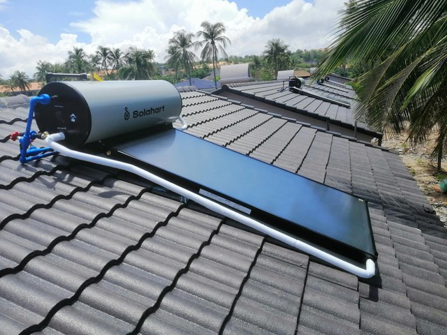 Cuộc đua phân phối năng lượng xanh tại Việt Nam- Ảnh 1.