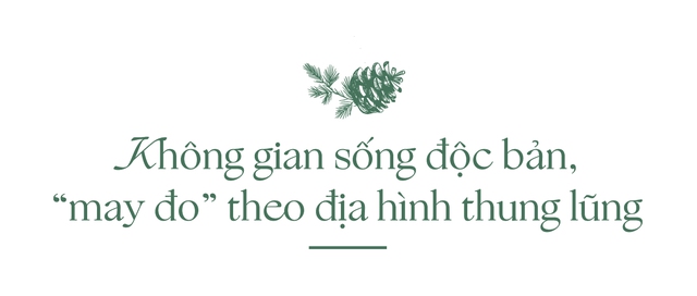 Thanh Xuan Valley: Nghệ thuật “may đo” không gian sống giữa thung lũng triệu thông reo- Ảnh 2. Thanh Xuan Valley: Nghệ thuật “may đo” không gian sống giữa thung lũng triệu thông reo- Ảnh 2.