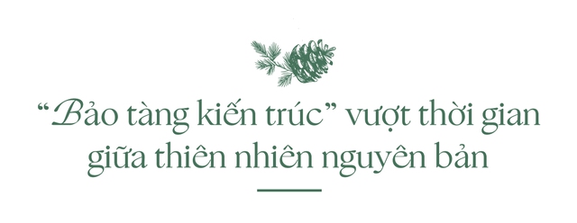 Thanh Xuan Valley: Nghệ thuật “may đo” không gian sống giữa thung lũng triệu thông reo- Ảnh 4. Thanh Xuan Valley: Nghệ thuật “may đo” không gian sống giữa thung lũng triệu thông reo- Ảnh 4.
