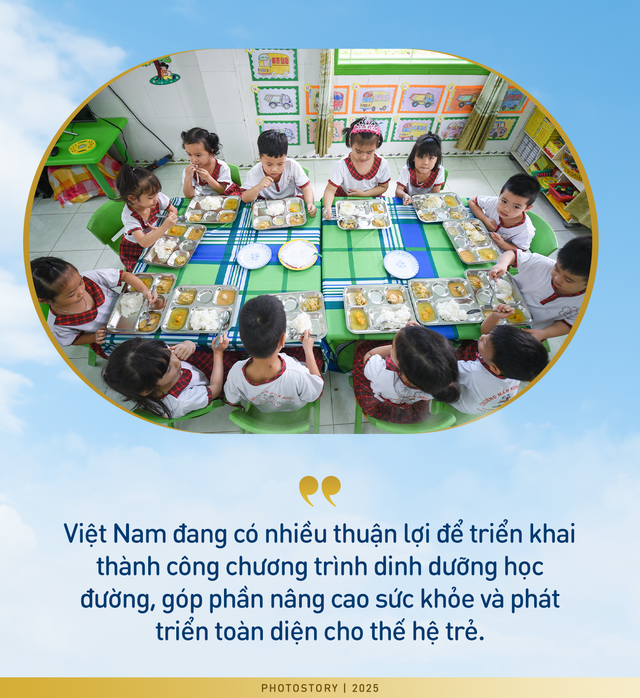 Luật hóa dinh dưỡng học đường từ góc nhìn chuyên gia Đức, Anh, Nhật, Trung Quốc- Ảnh 4.