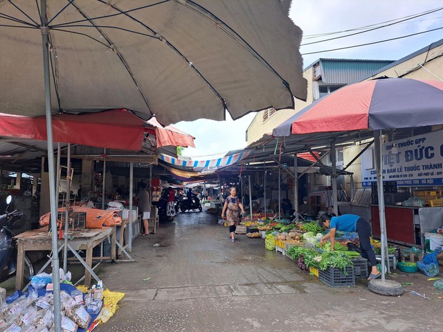 Tuyến phố tập trung đa tiện ích thương mại bài bản tại trung tâm Phúc Thọ- Ảnh 1.