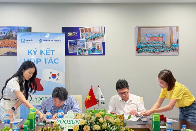 Yoosun Rau má: Từ thị trường nội địa đến sự quan tâm của đối tác quốc tế- Ảnh 1.