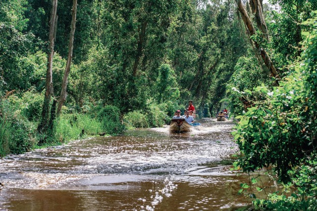 Du lịch Net Zero: Hướng đi tiên phong- Ảnh 1.
