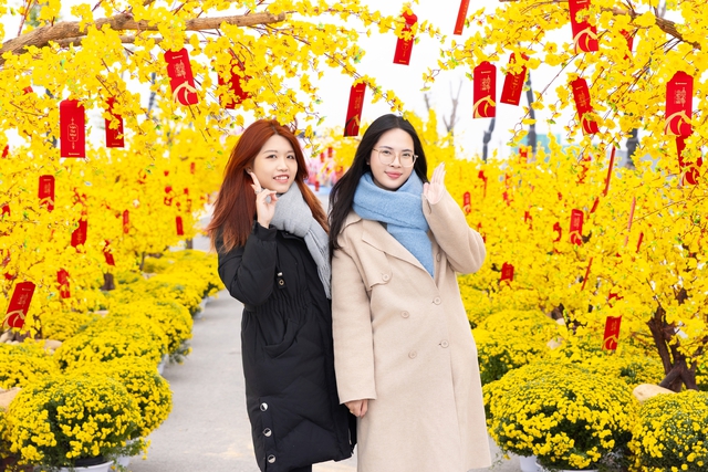 Đại nhạc hội Việt Yên Riverside: Khẳng định vị thế đô thị thương mại giải trí 24/7- Ảnh 1.