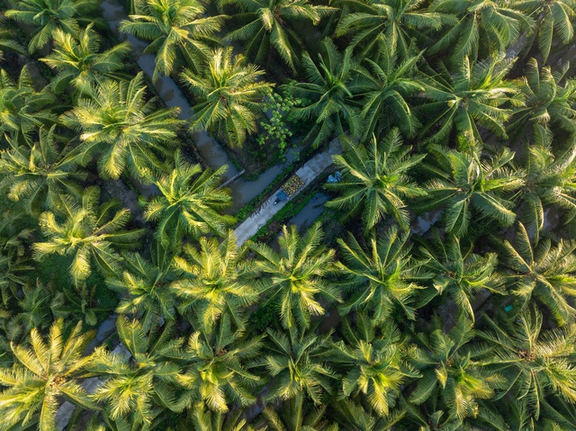 AgriS (SBT) mở rộng động lực tăng trưởng ngoài mảng đường- Ảnh 3.