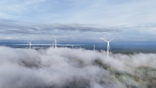 Savan 1, dòng điện xuyên biên giới và vai trò của kinh tế tư nhân- Ảnh 3.