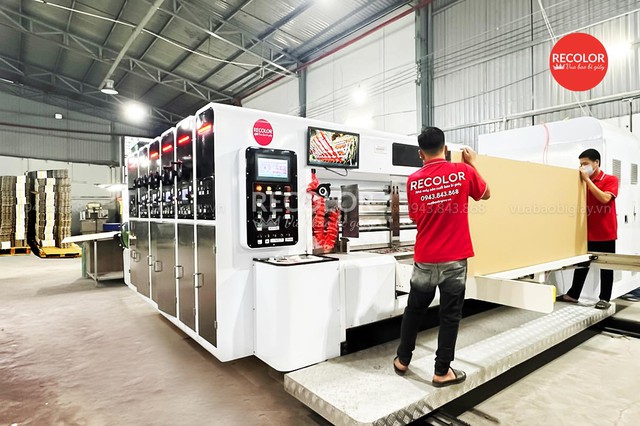 RECOLOR và giải pháp thùng carton phù hợp cho doanh nghiệp- Ảnh 1.
