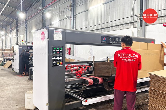 RECOLOR và giải pháp thùng carton phù hợp cho doanh nghiệp- Ảnh 3.