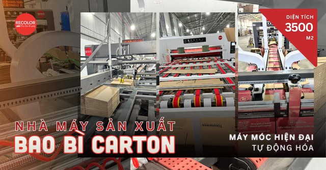 RECOLOR và giải pháp thùng carton phù hợp cho doanh nghiệp- Ảnh 4.