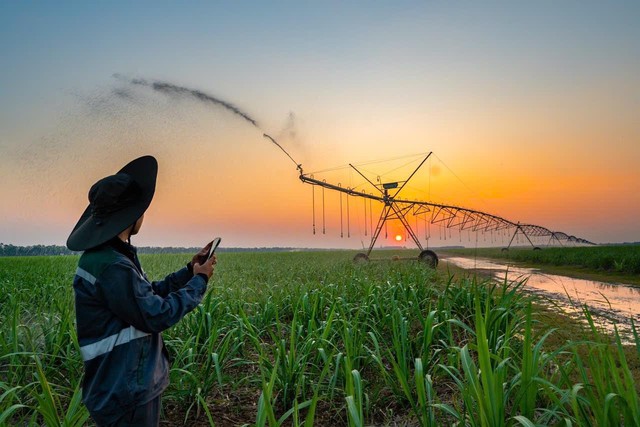 ĐHĐCĐ AgriS 2025-2026: hoàn thiện nền tảng quản trị, sẵn sàng cho giai đoạn phát triển mới ‏- Ảnh 1.