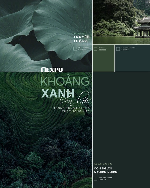 ‏Mang sắc màu Việt vào không gian sống cùng OEXPO‏- Ảnh 3.