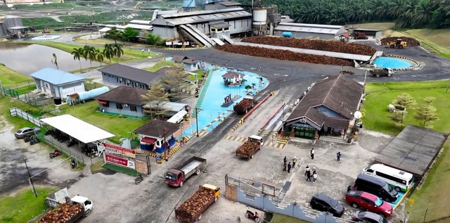 Khám phá Hành trình đưa dầu cọ vươn ra thế giới- Ảnh 2.