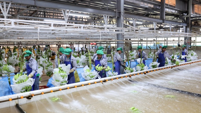 Thế giới nông nghiệp lạ thường và những điều không tưởng...- Ảnh 1.