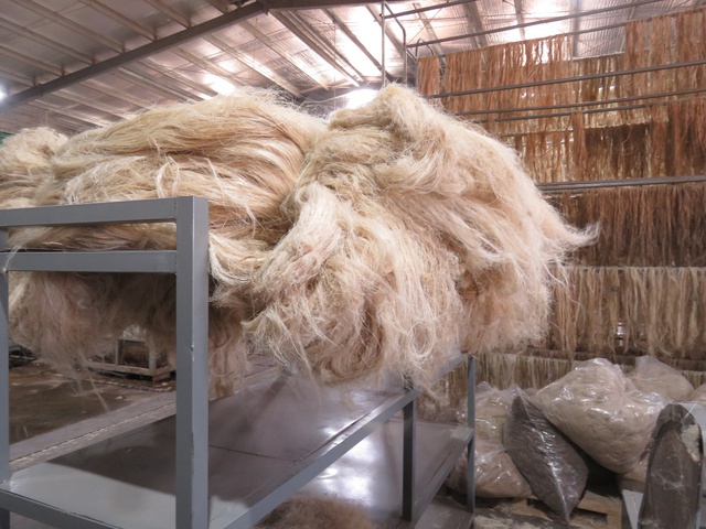 Thế giới nông nghiệp lạ thường và những điều không tưởng...- Ảnh 3.