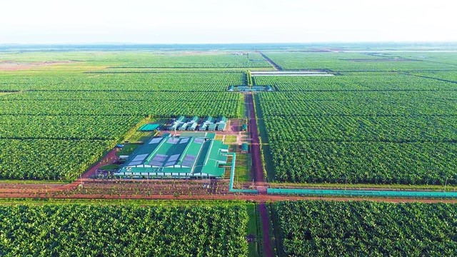 THACO AGRI - Khát vọng tái thiết xuyên biên giới: Cuộc chơi bắt đầu từ đất- Ảnh 2.