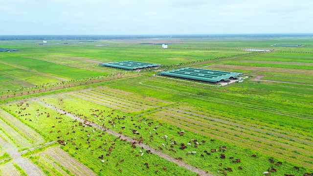 THACO AGRI - Khát vọng tái thiết xuyên biên giới: Cuộc chơi bắt đầu từ đất- Ảnh 3.