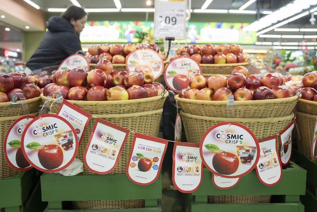 Cosmic Crisp® – làn gió mới trong thói quen chọn trái cây của người Việt thành thị- Ảnh 2.