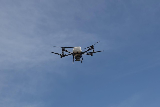 Từ kỷ lục Guinness đến 1 triệu cây xanh: Unilever và chiến lược hồi sinh rừng Việt Nam - Ảnh 4.