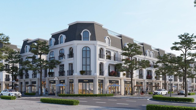 "Cơ hội vàng" để sở hữu shophouse giá tốt tại phân khu New Star- Ảnh 1.