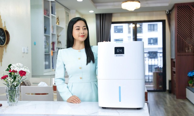 Cao điểm trời mưa nồm ẩm - Máy hút ẩm trở thành cứu tinh- Ảnh 3.