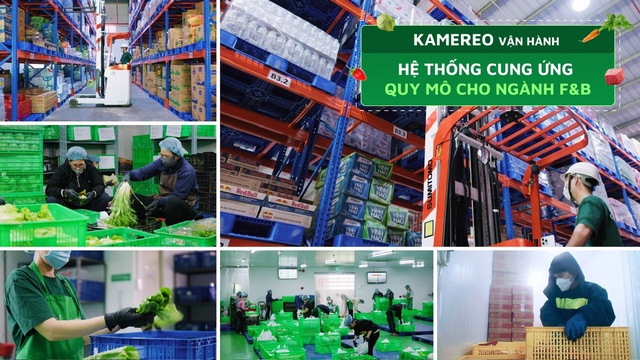 Nền tảng cung ứng Kamereo công bố kế hoạch tuyển dụng năm 2026- Ảnh 1.