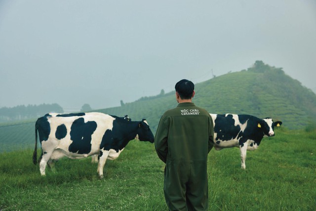 Doanh thu thuần Mộc Châu Milk đạt 741,6 tỷ đồng trong Quý I, kỳ vọng tăng trưởng năm 2026- Ảnh 2.