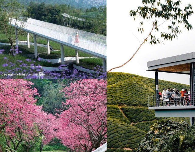 Rót hơn 2.400 tỷ lên đèo Ô Quý Hồ, Sa Pa có đại đô thị mới- Ảnh 4.