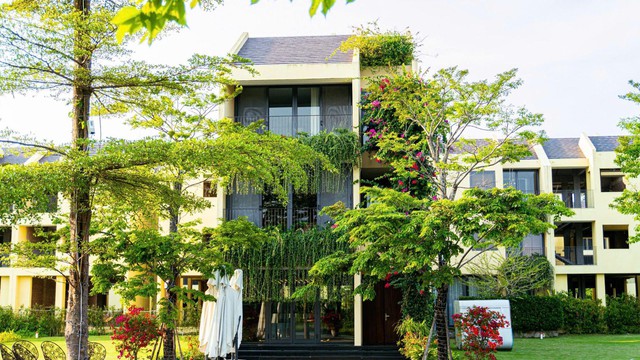 Sinh lời không đến từ “sóng thị trường” mà từ giá trị sử dụng - Ảnh 3.